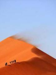 lt;lt;lt;Reborn Soar