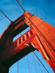 My Amazing Female Te