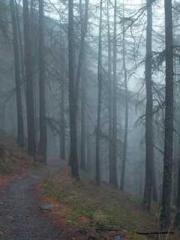 The Sovereign of the