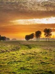 Reborn in the Apocal