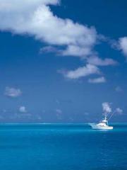 High School Campus S