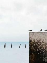 The wife wishes to b