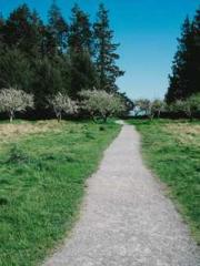 lt;lt;Legend of Yunx