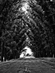Reborn in the Apocal