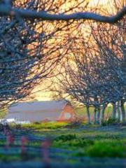 The Ugly Womanapos;s