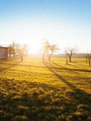 Becoming a solitary 