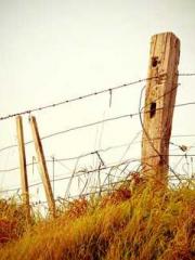 Mr. Shen, overdue an