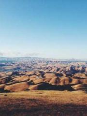 Super husband Lin Xi