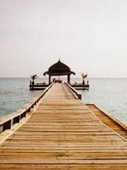 High School Campus S