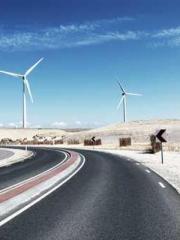 lt;Gingerly, Shen Qi