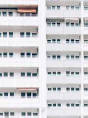 Eternal Sword Ancest