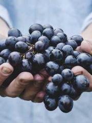 lt;lt;lt;Reborn Soar