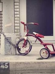 A Heavenly Gift: The