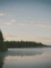 Rebirth of the Urban