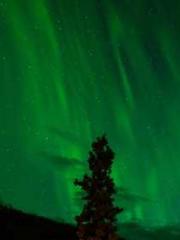 Super husband Lin Xi