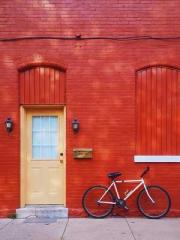 Falling for You: The