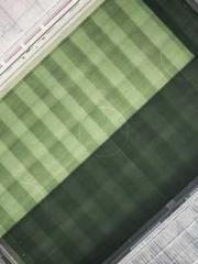 Double Blessing: CEO