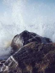 High School Campus S